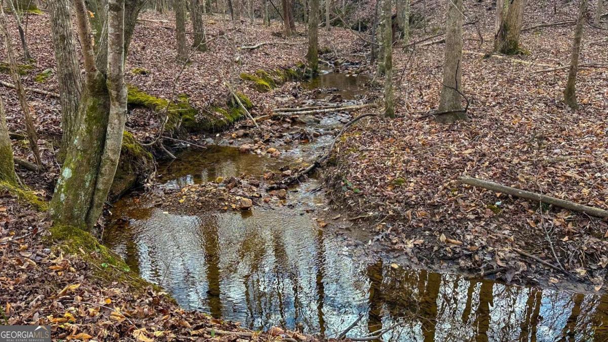 0 Thomas Street Roopville, GA 30170 - Photo 2 of 34