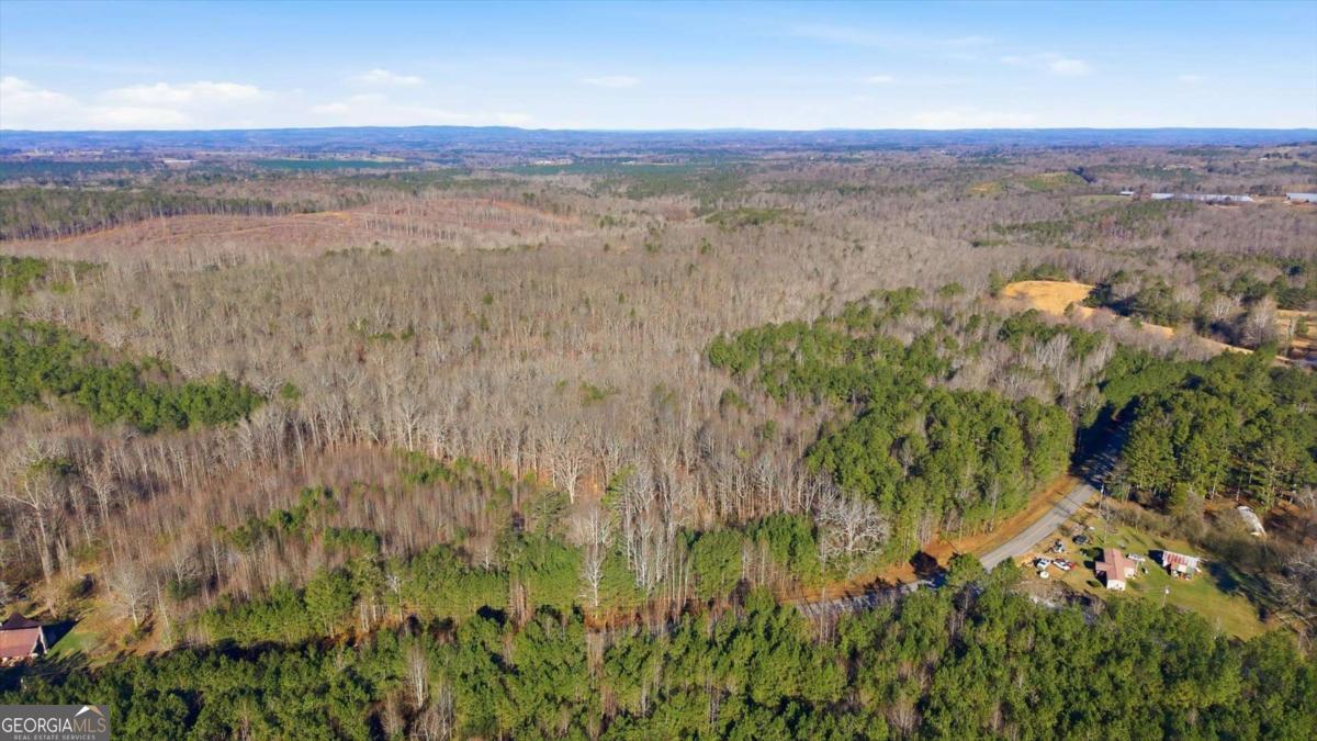 0 Thomas Street Roopville, GA 30170 - Photo 21 of 34