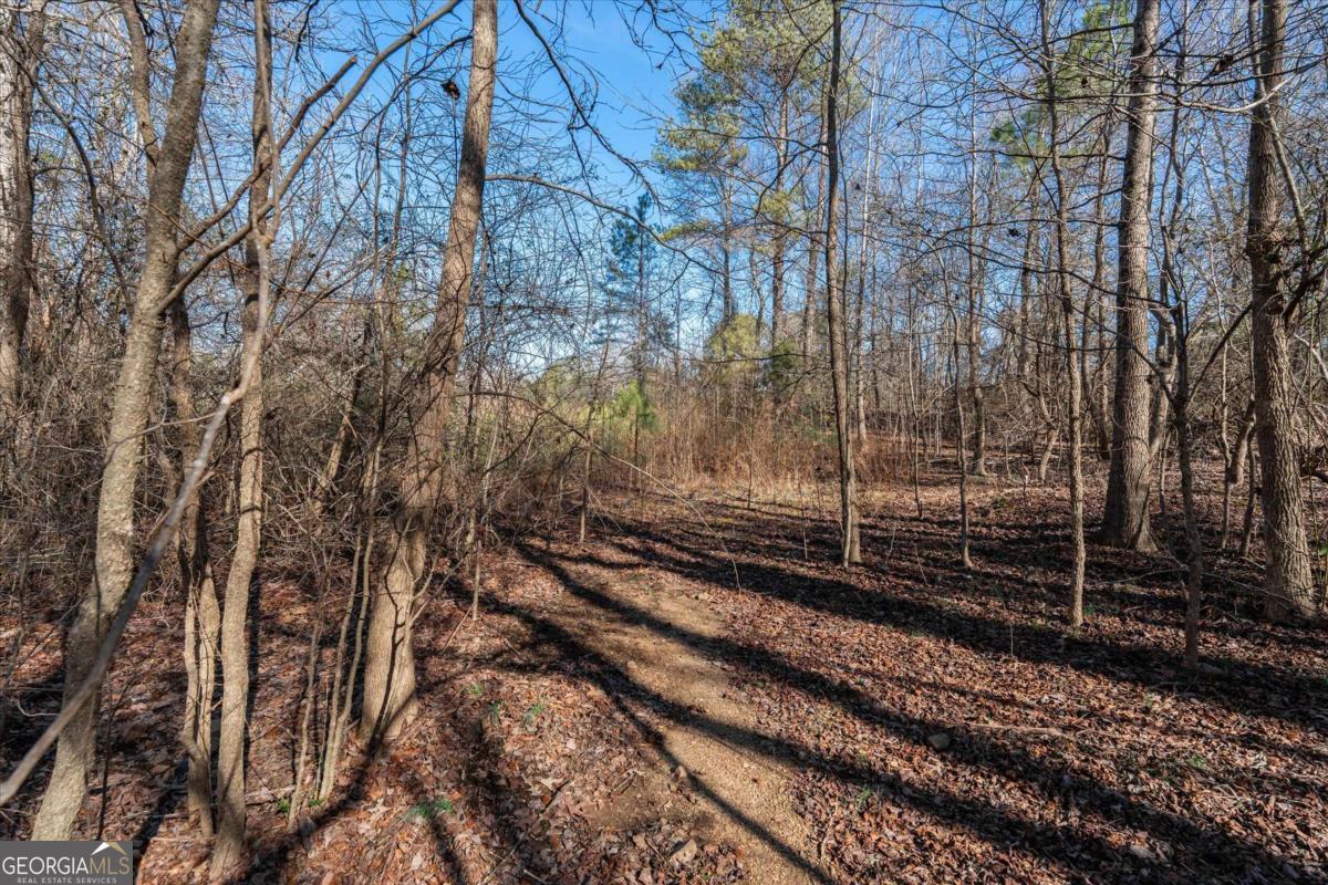 0 Thomas Street Roopville, GA 30170 - Photo 24 of 34