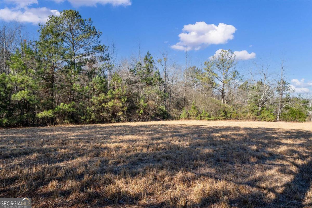 0 Thomas Street Roopville, GA 30170 - Photo 25 of 34