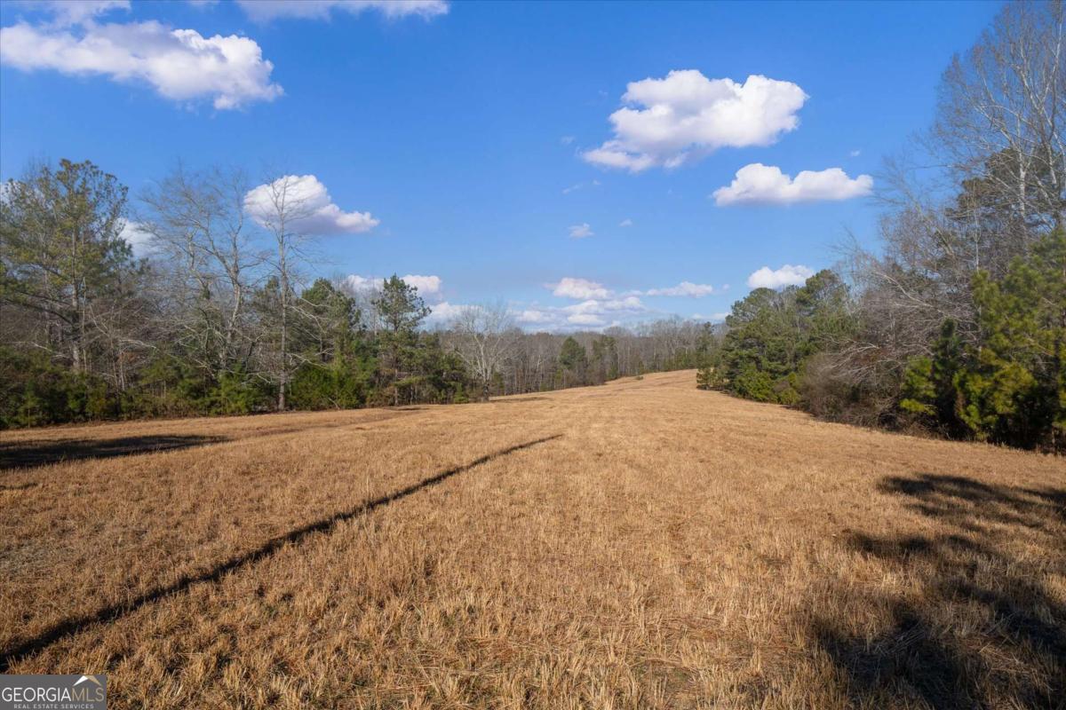 0 Thomas Street Roopville, GA 30170 - Photo 26 of 34