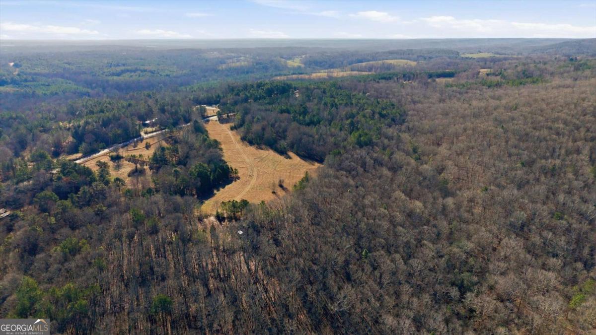 0 Thomas Street Roopville, GA 30170 - Photo 27 of 34