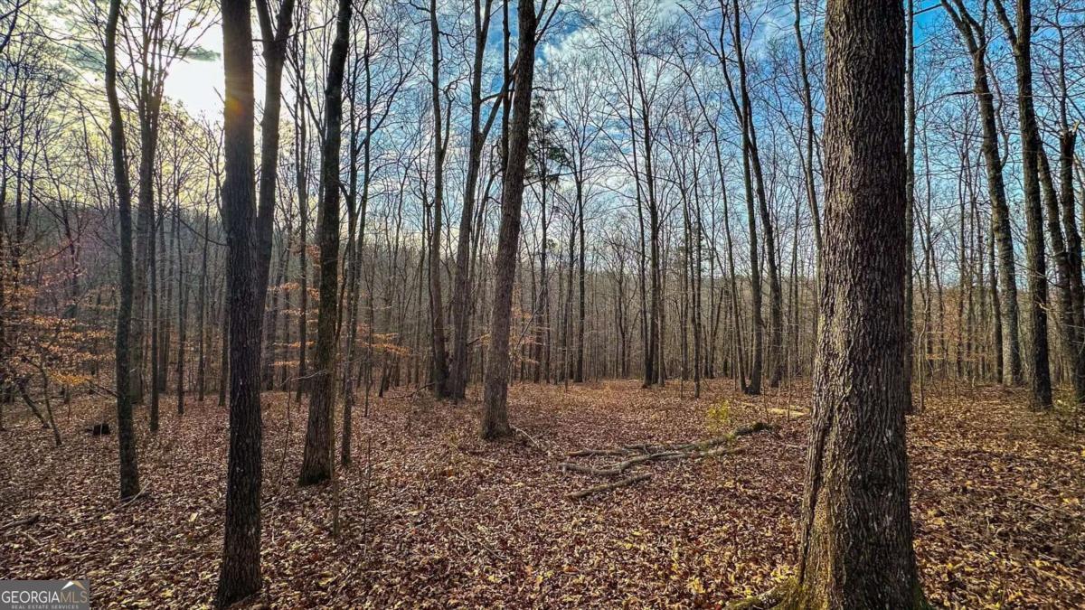 0 Thomas Street Roopville, GA 30170 - Photo 28 of 34