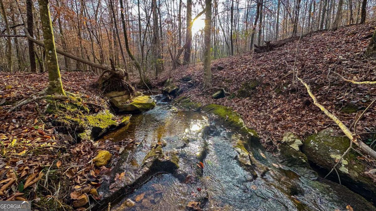 0 Thomas Street Roopville, GA 30170 - Photo 30 of 34