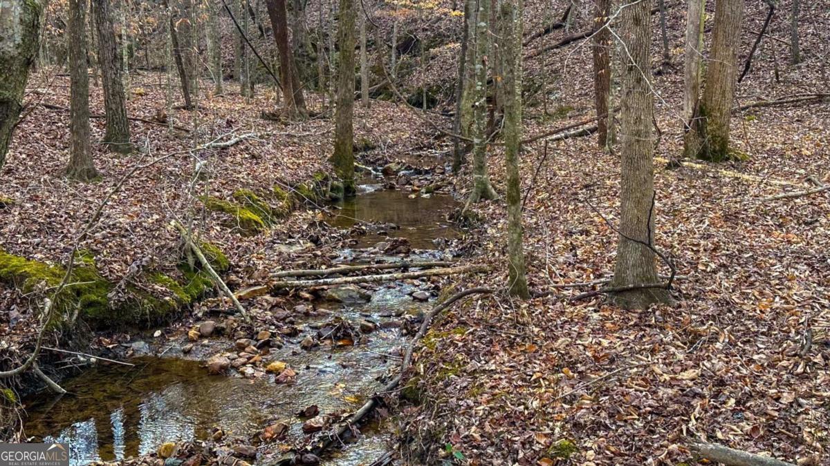 0 Thomas Street Roopville, GA 30170 - Photo 31 of 34