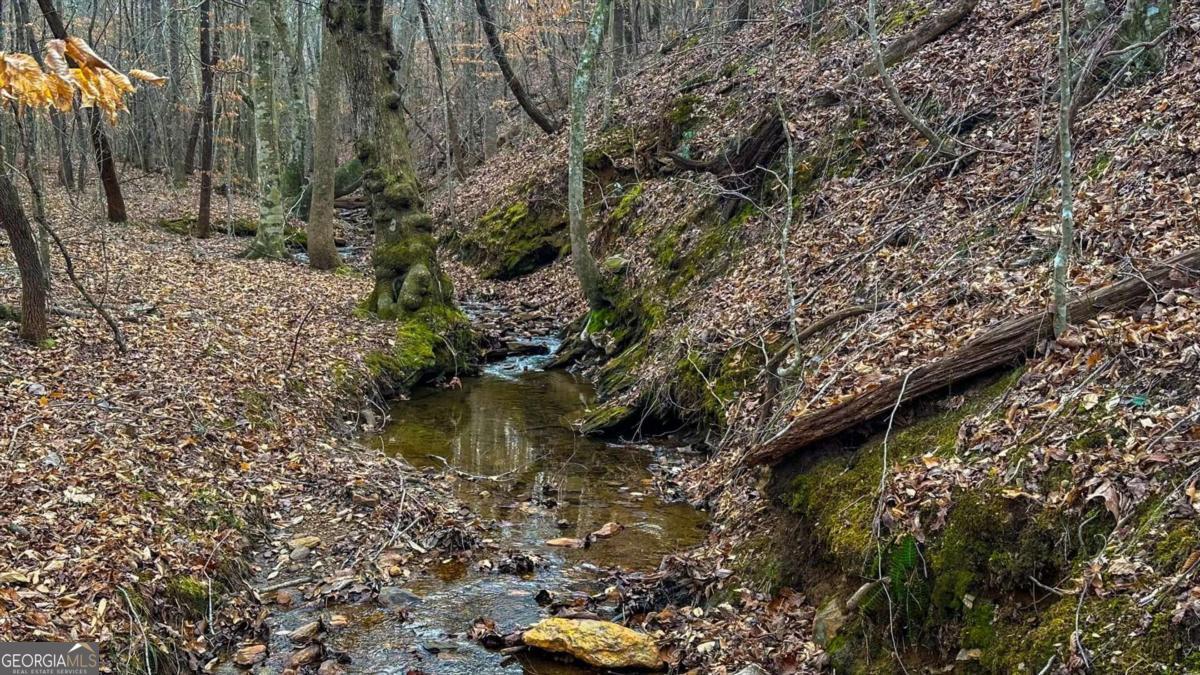 0 Thomas Street Roopville, GA 30170 - Photo 32 of 34