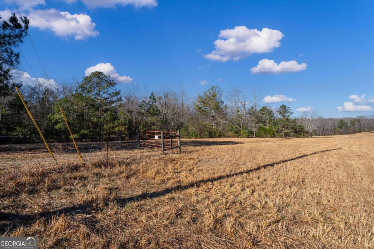 0 Thomas Street Roopville, GA 30170 - Photo 4 of 34