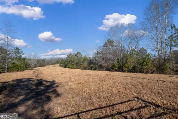 a view of a dry yard with trees