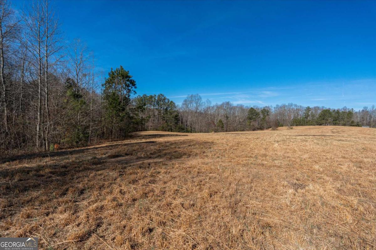 0 Thomas Street Roopville, GA 30170 - Photo 6 of 34