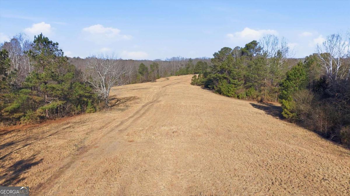 0 Thomas Street Roopville, GA 30170 - Photo 7 of 34