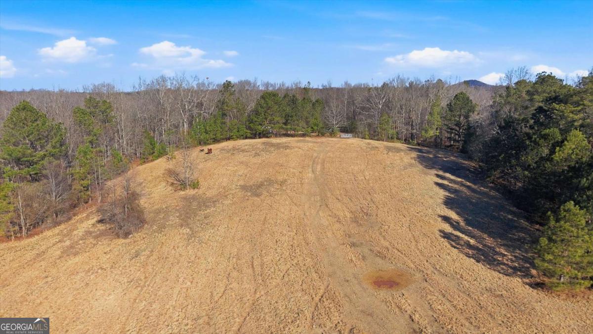 0 Thomas Street Roopville, GA 30170 - Photo 8 of 34