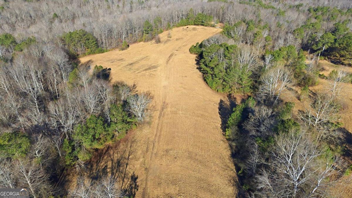 0 Thomas Street Roopville, GA 30170 - Photo 10 of 34