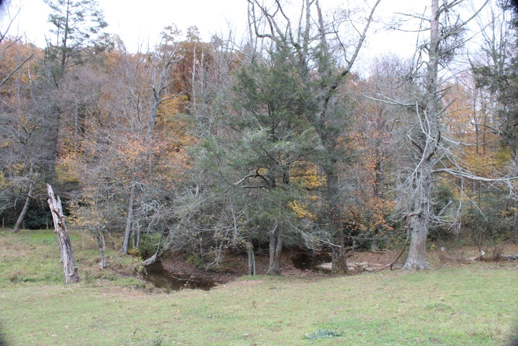Tbd Terry's Mill Road, Unit 121A61 Laurel Fork, VA 24352 - Photo 58 of 71 Gallery Image 58