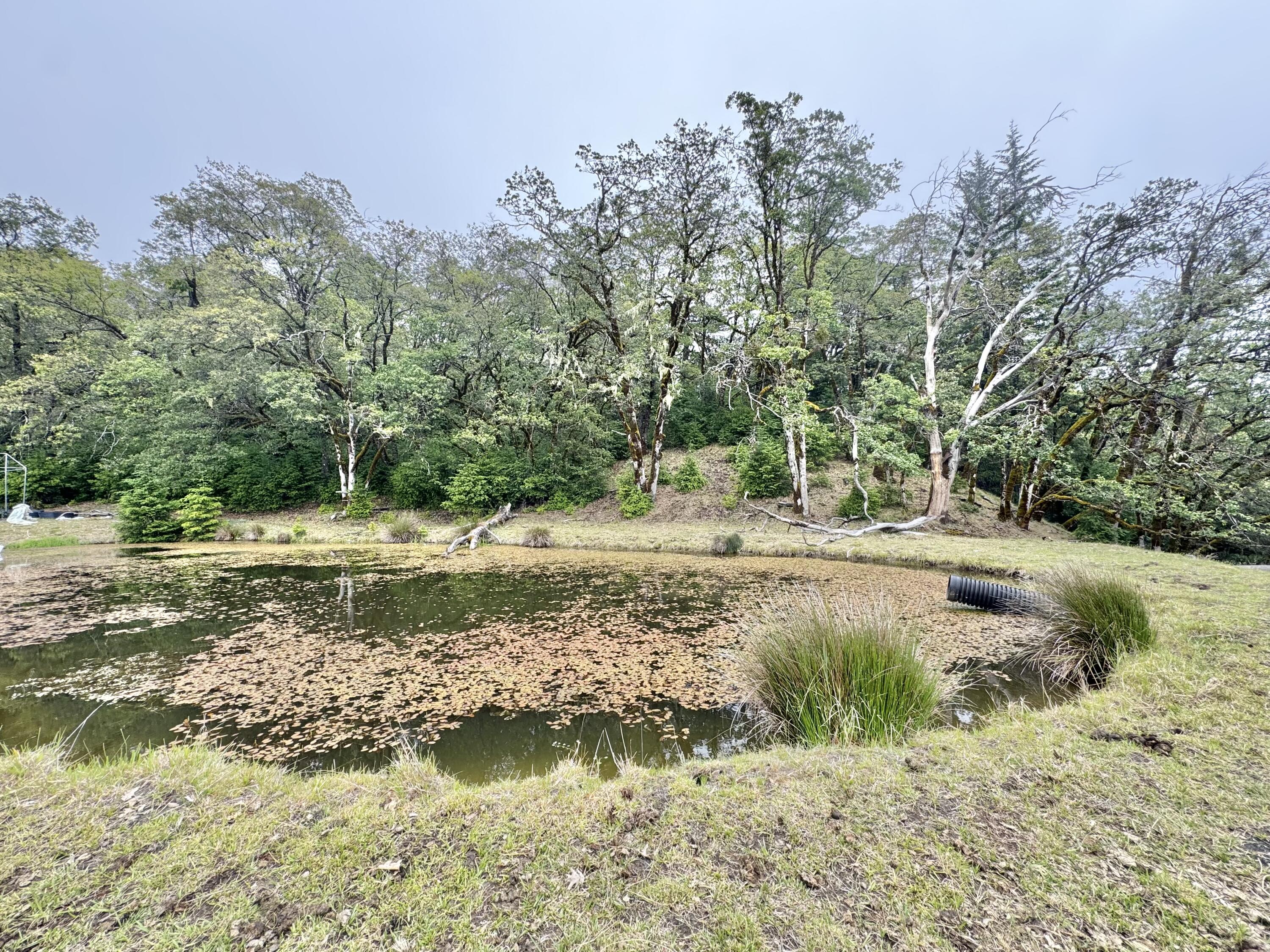 12575 Buck Mountain Road Bridgeville, CA 95526 - Photo 17 of 22