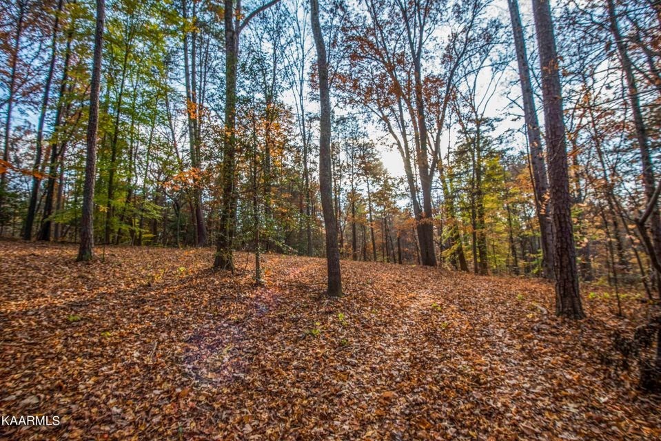 29980 Rhea County Highway Spring City, TN 37381 - Photo 8 of 12 Gallery Image 8