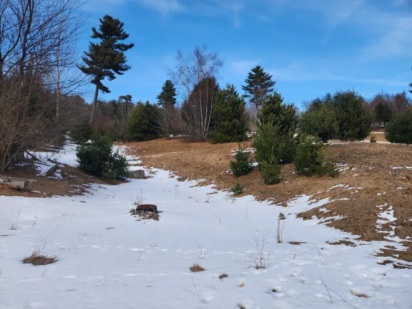 $21,000 | Vacant East Starlight Rdg Circle, Unit 58, Onekama, MI 49675