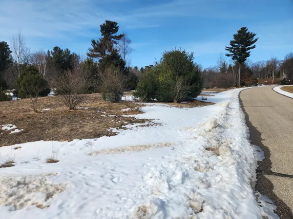 $21,000 | Vacant East Starlight Rdg Circle, Unit 58, Onekama, MI 49675