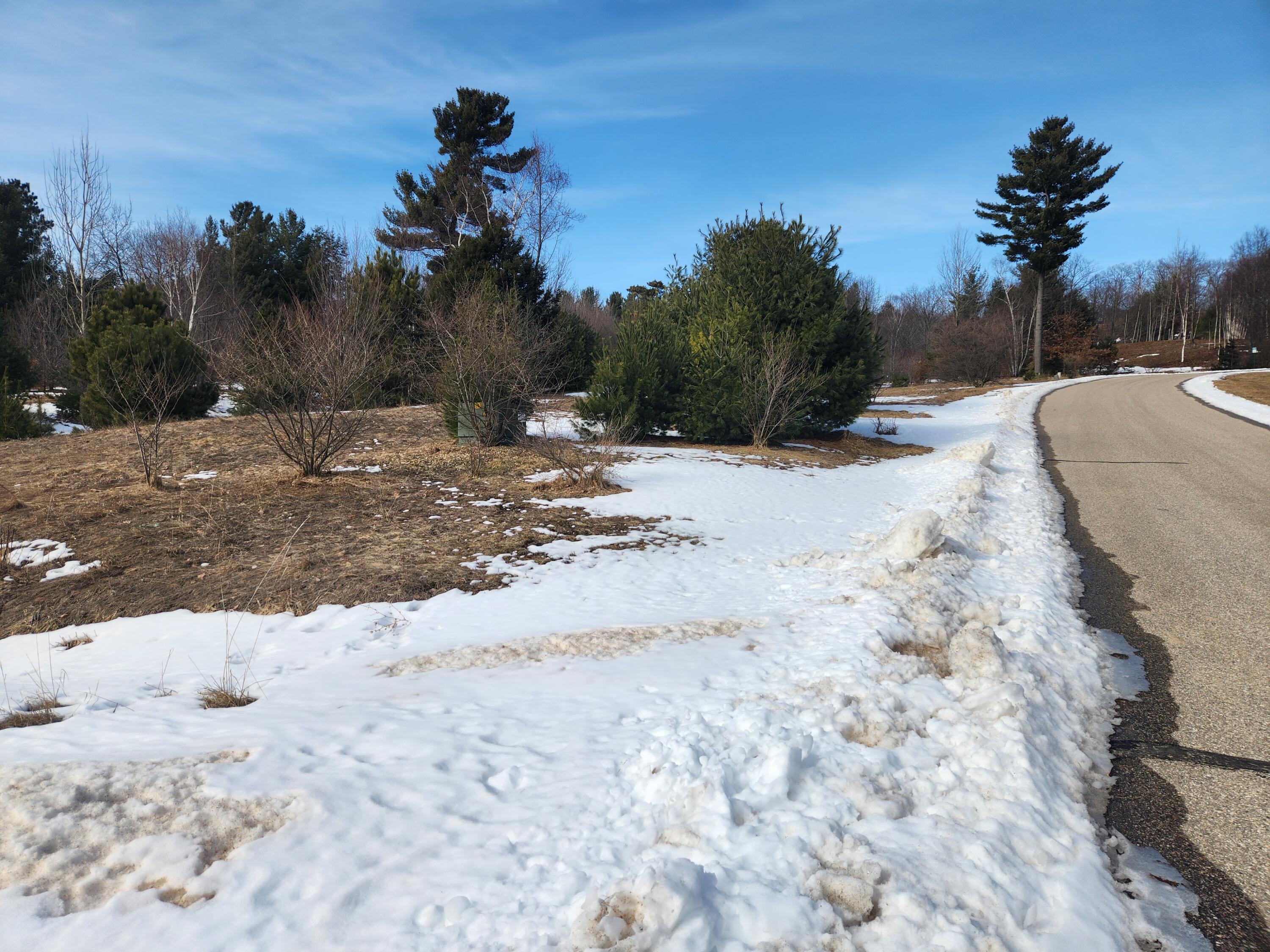 Vacant East Starlight Rdg Circle, Unit 58 Onekama, MI 49675 - Photo 6 of 7 20260303_152000