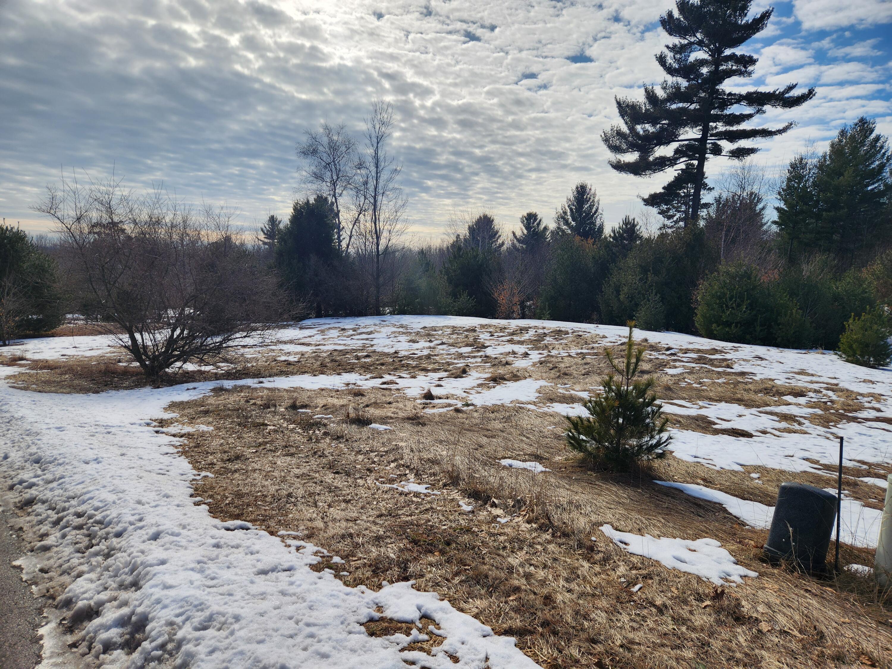 Vacant East Starlight Rdg Circle, Unit 58 Onekama, MI 49675 - Photo 7 of 7 20260303_152102