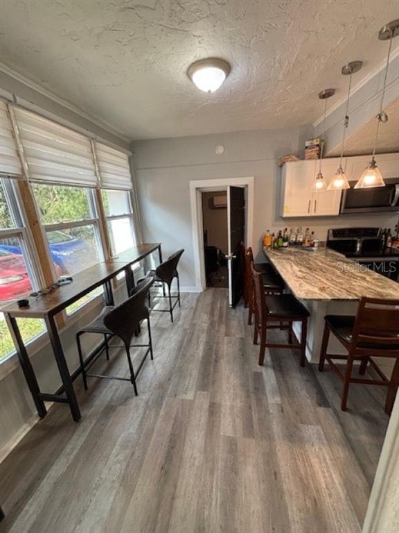 203 Northwest 25 Street Gainesville, FL 32607 - Photo 3 of 11 a view of a livingroom with furniture window and wooden floor