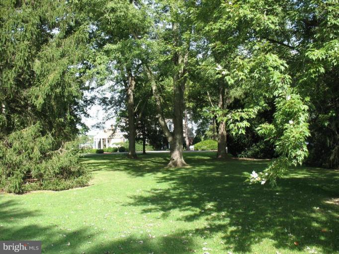 2212 Jenkins Creek Road Cambridge, MD 21613 - Photo 15 of 30 Other #1