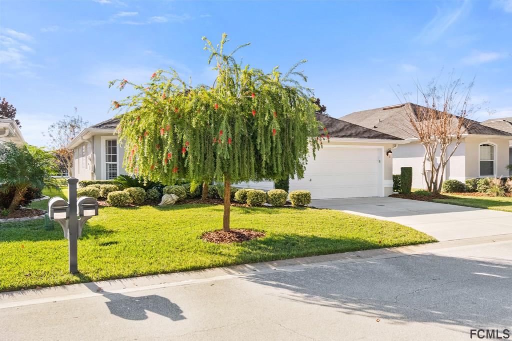 55 Raintree Circle Palm Coast, FL 32164 - Photo 4 of 62 Curb appeal