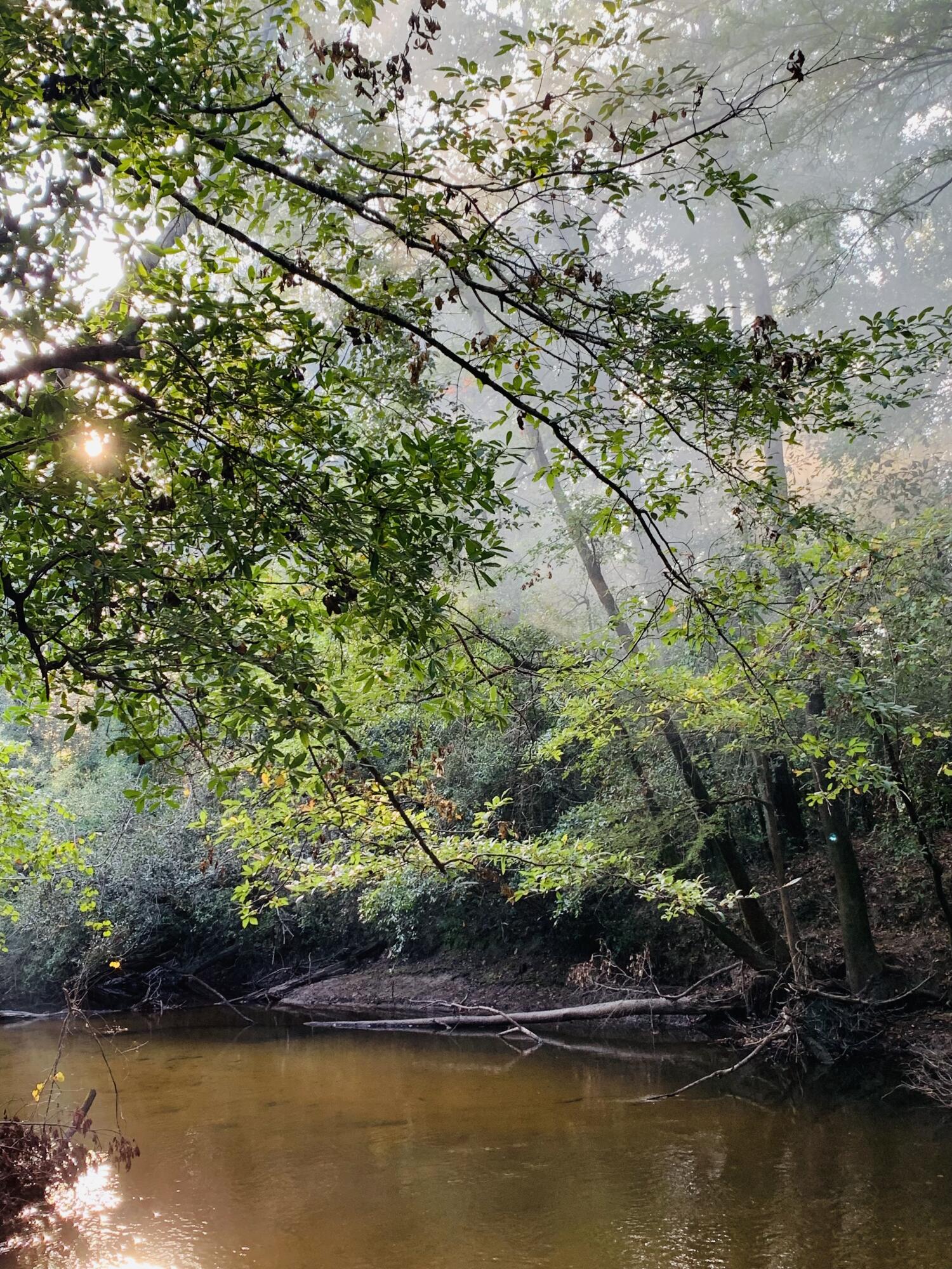 Xxxx Kervin Road Crestview, FL 32539 - Photo 14 of 78 River 1