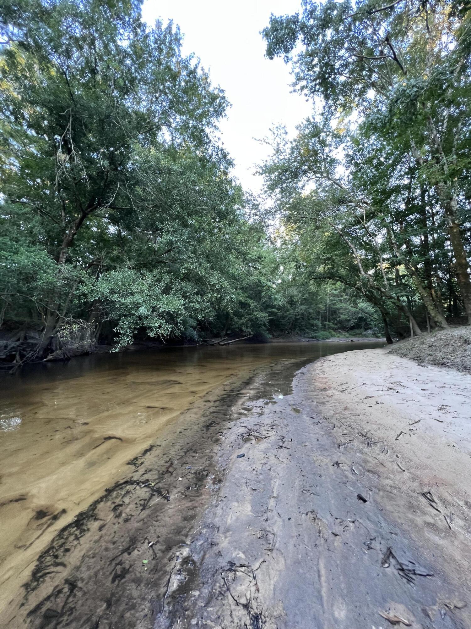 Xxxx Kervin Road Crestview, FL 32539 - Photo 15 of 78 a view of lake background