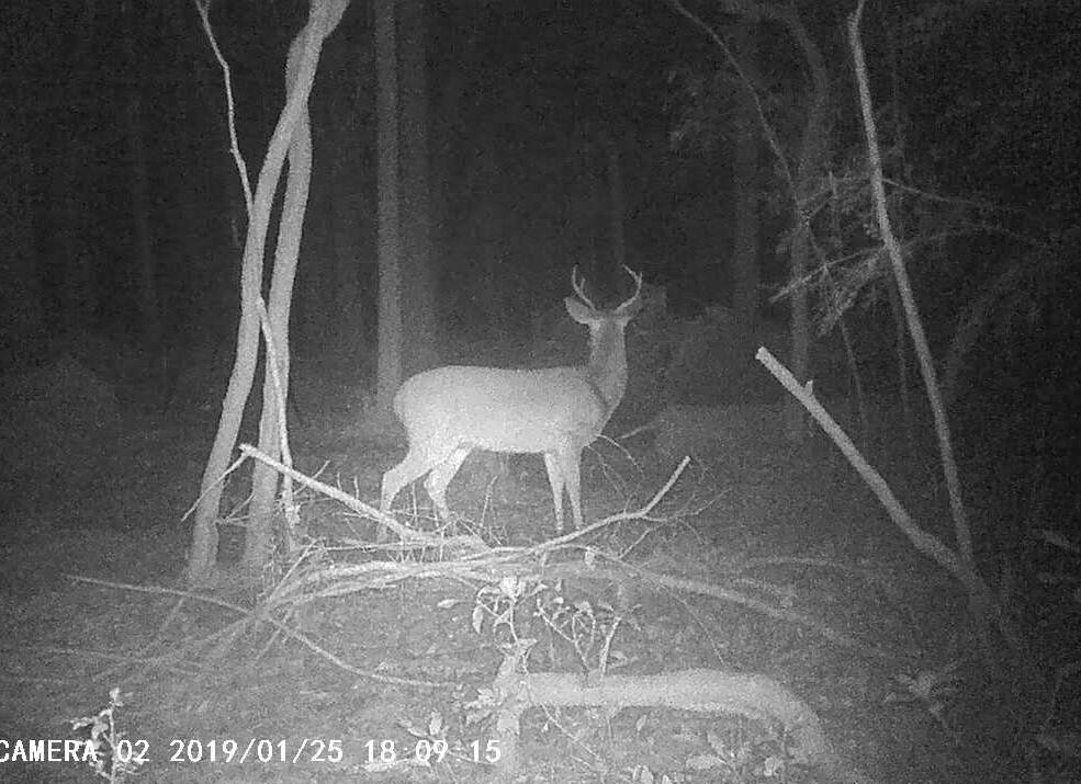 Xxxx Kervin Road Crestview, FL 32539 - Photo 18 of 78 Welcome Guest