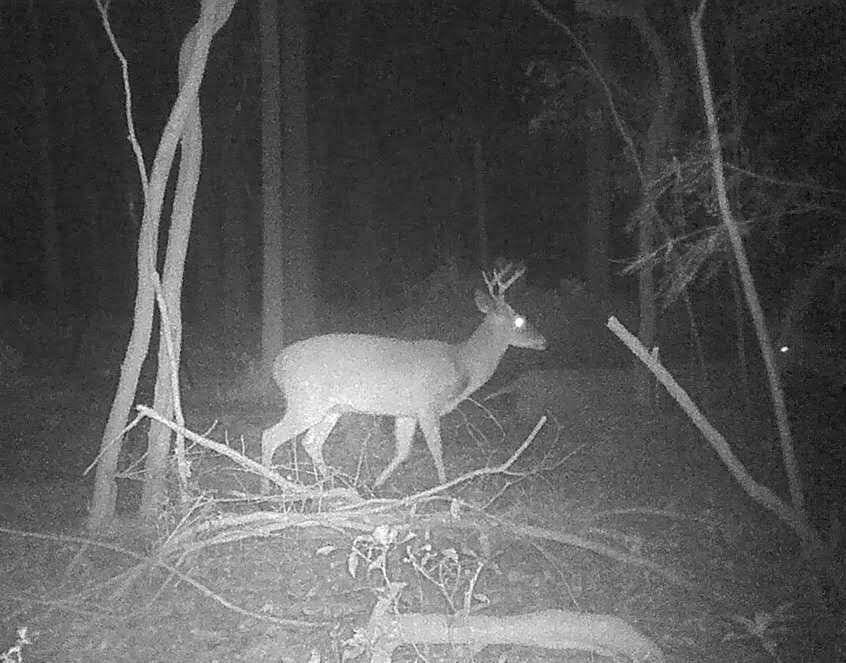 Xxxx Kervin Road Crestview, FL 32539 - Photo 19 of 78 Welcome Guest