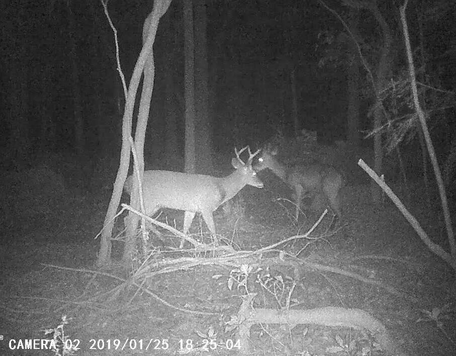 Xxxx Kervin Road Crestview, FL 32539 - Photo 20 of 78 Welcome Guests