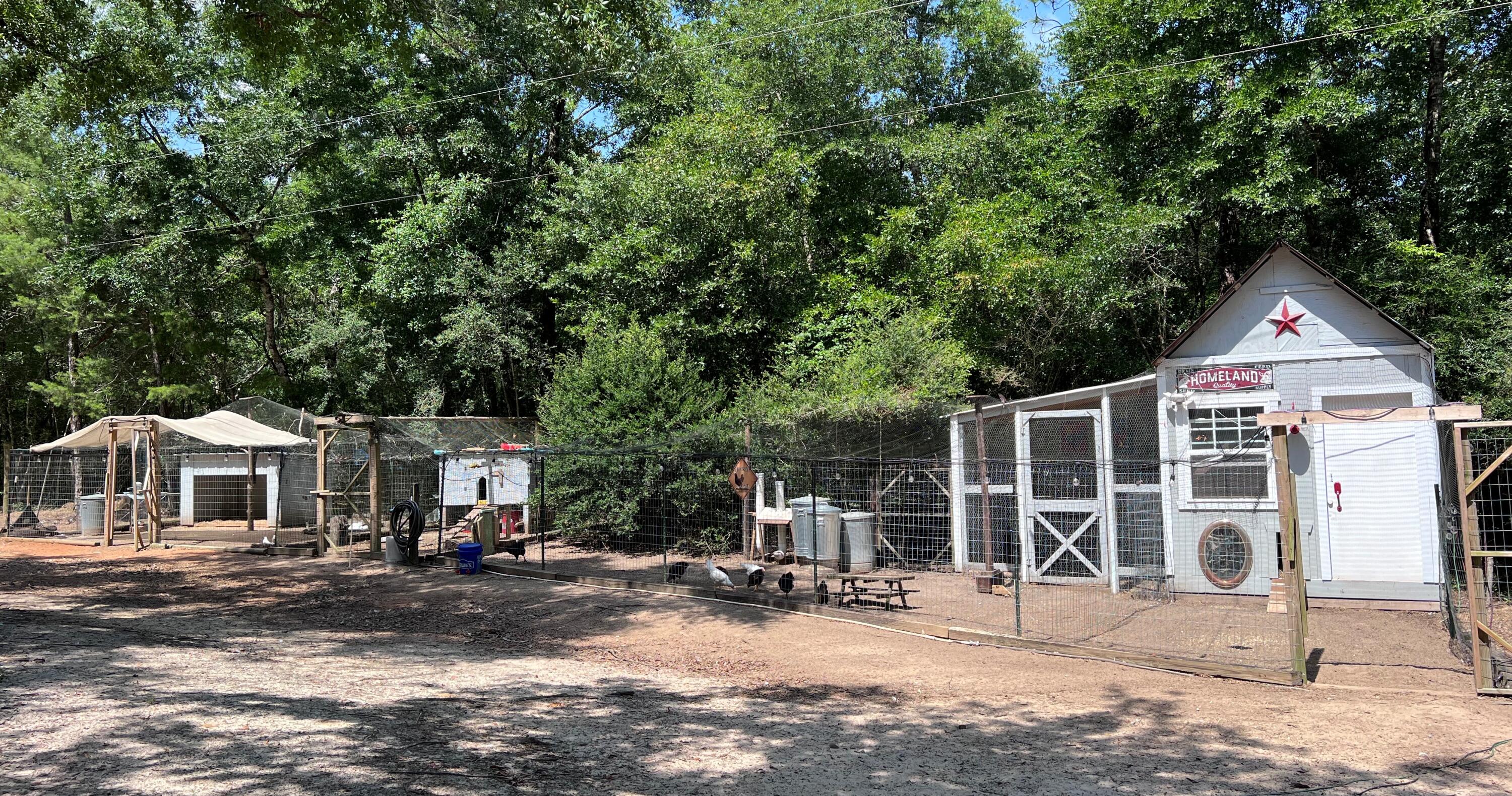 Xxxx Kervin Road Crestview, FL 32539 - Photo 74 of 78 a view of a small yard in front of a house