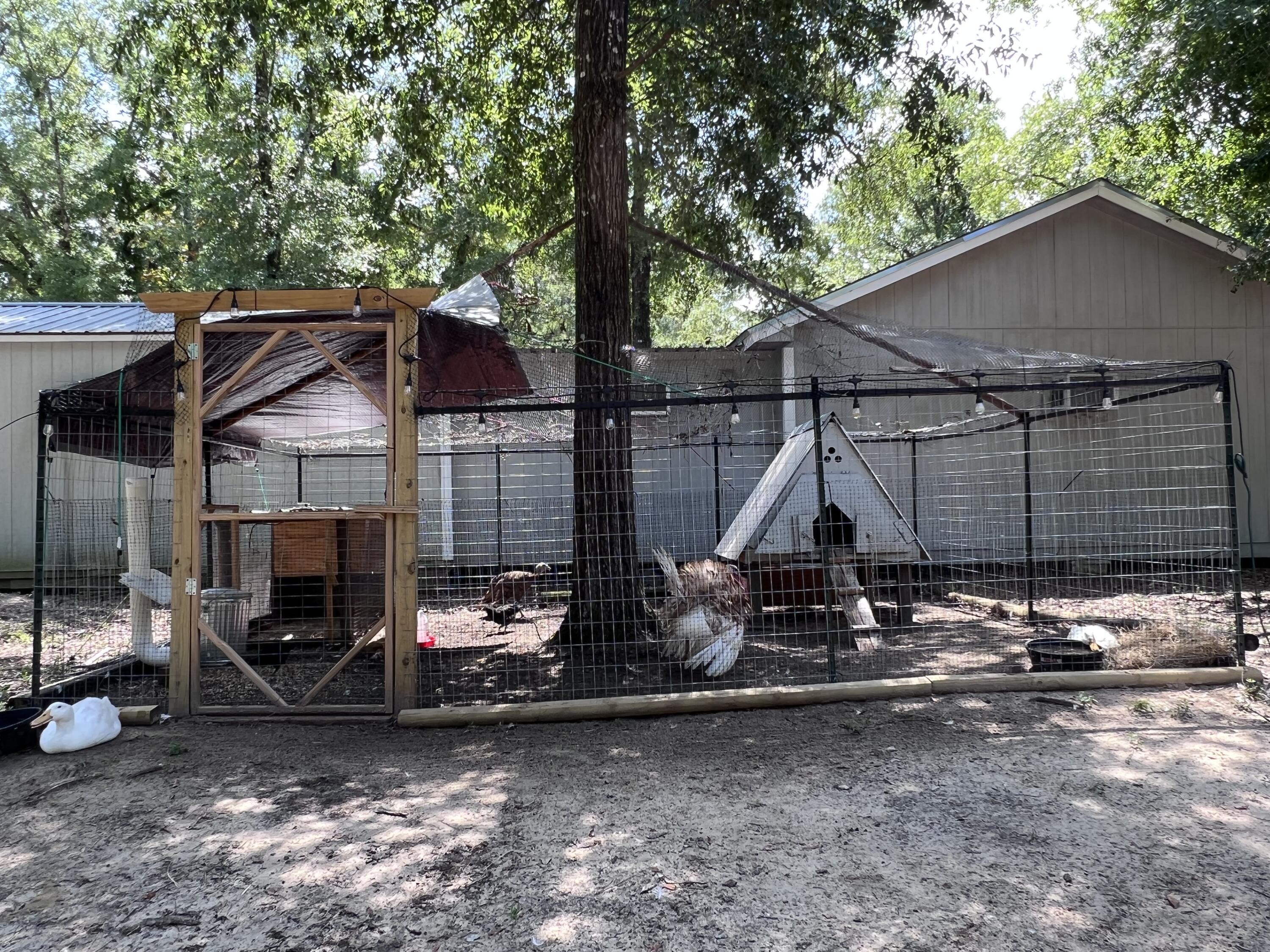 Xxxx Kervin Road Crestview, FL 32539 - Photo 78 of 78 a view of house with backyard space and porch