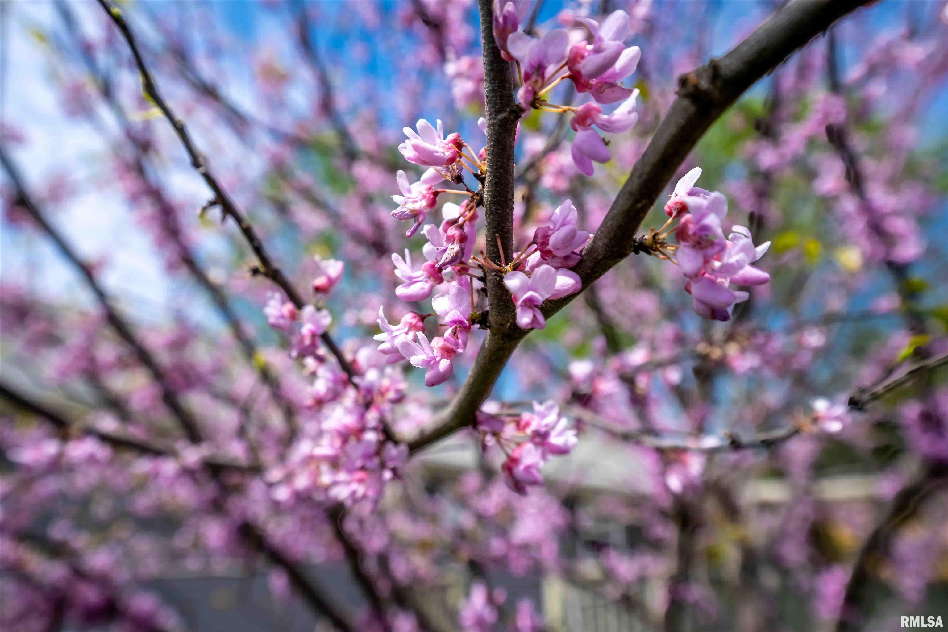 2802 Deveron Circle Pekin, IL 61554 - Photo 33 of 36