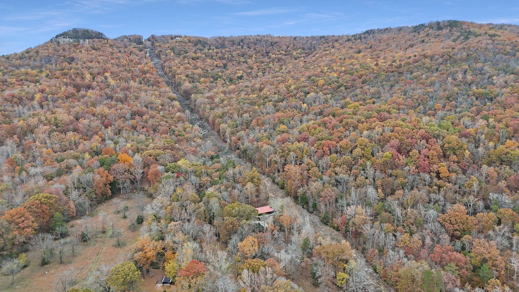 106 Tar Kiln Road Jasper, TN 37347 - Photo 44 of 46