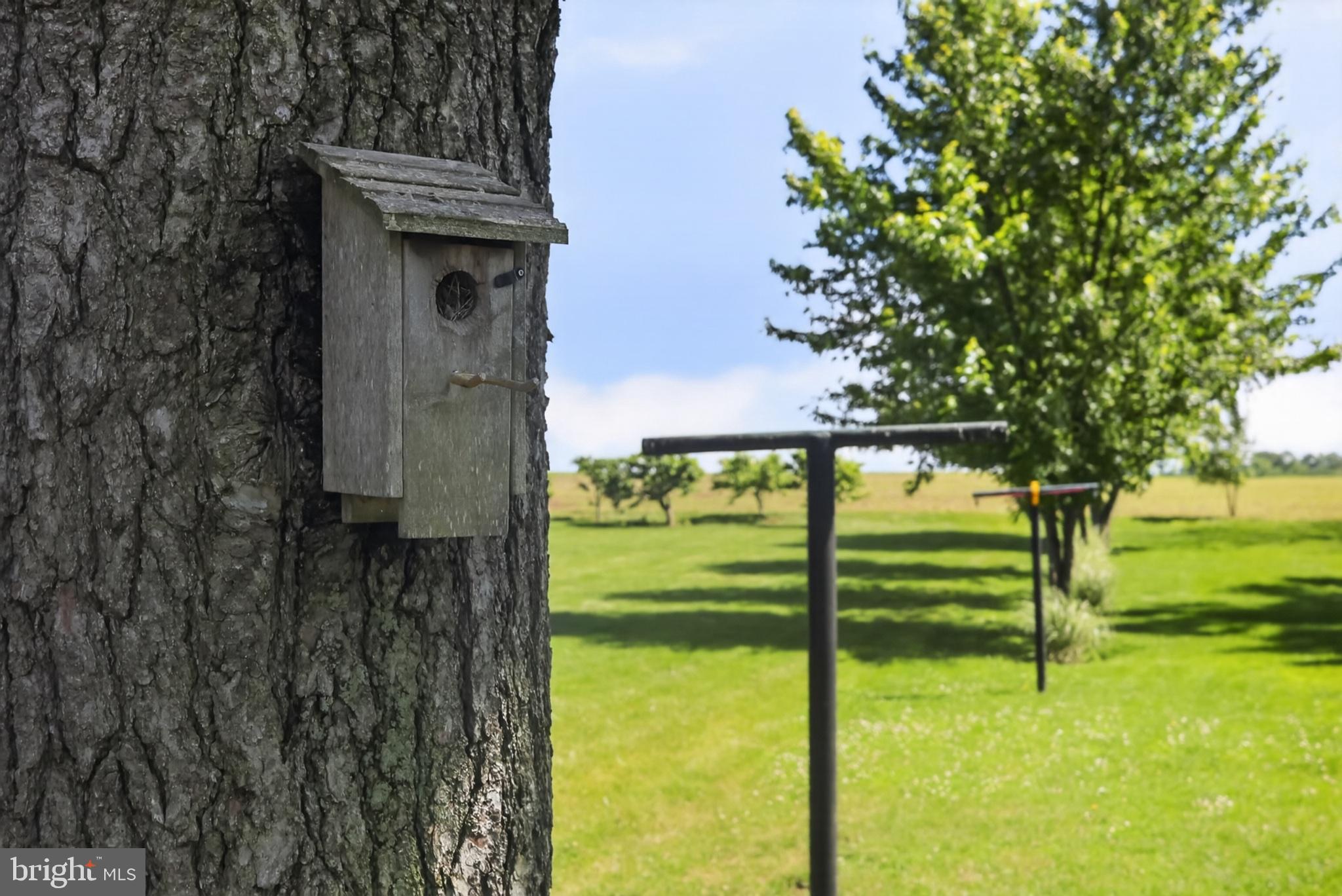 1106 Village Road Lancaster, PA 17602 - Photo 40 of 42 Charming birdhouse in serene landscape.