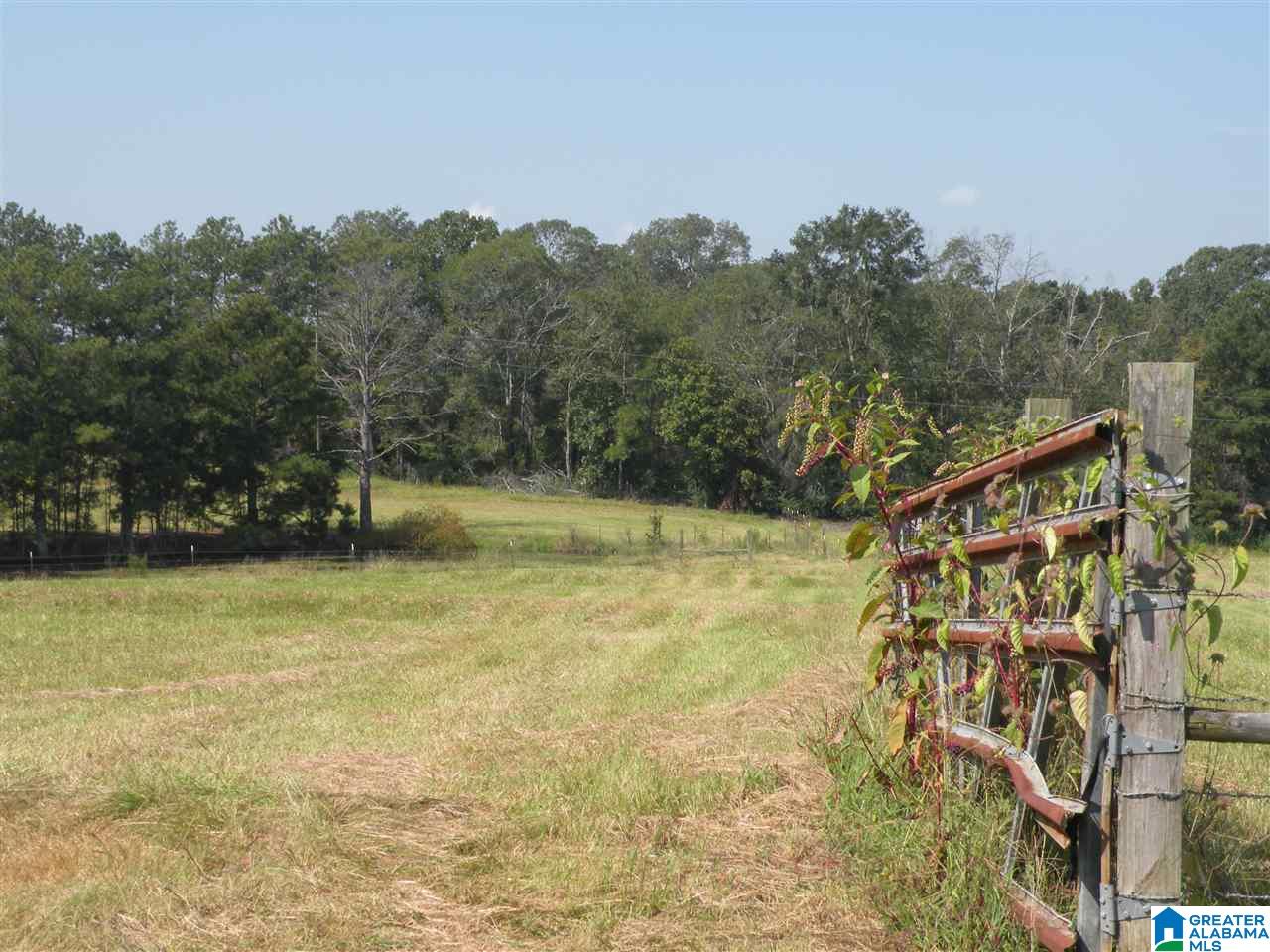 413 Truss Ferry Road Lincoln, AL 35096 - Photo 1 of 36