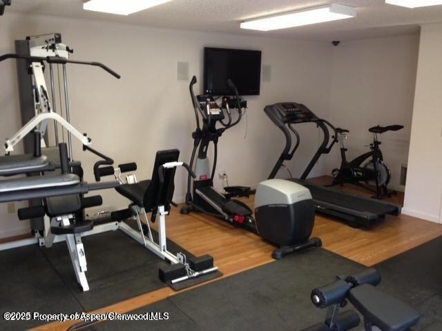 4 Aspen Village Road Aspen, CO 81611 - Photo 14 of 14 Gym