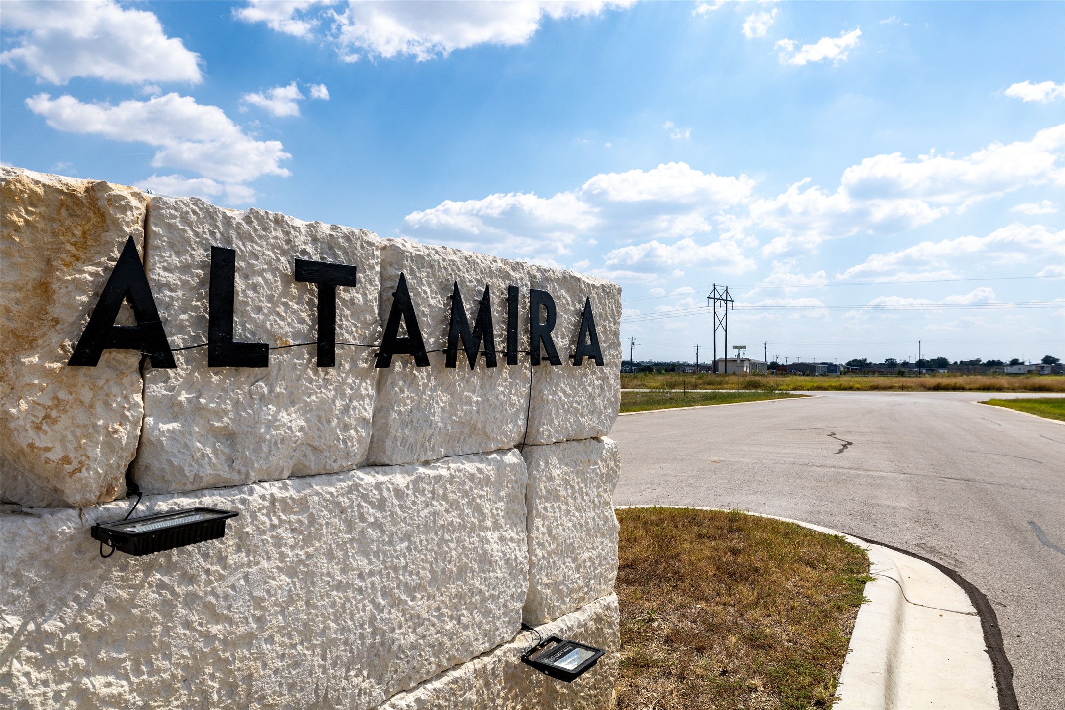 224 Altamira Avenue Elgin, TX 78621 - Photo 7 of 10 a view of a swimming pool with a yard