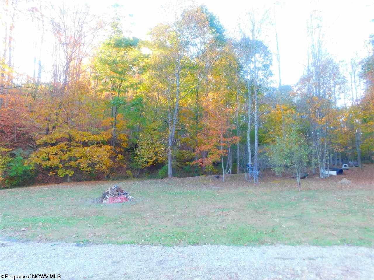 101 Liriodend Run Road Mount Clare, WV 26408 - Photo 3 of 6 Gallery Image 3