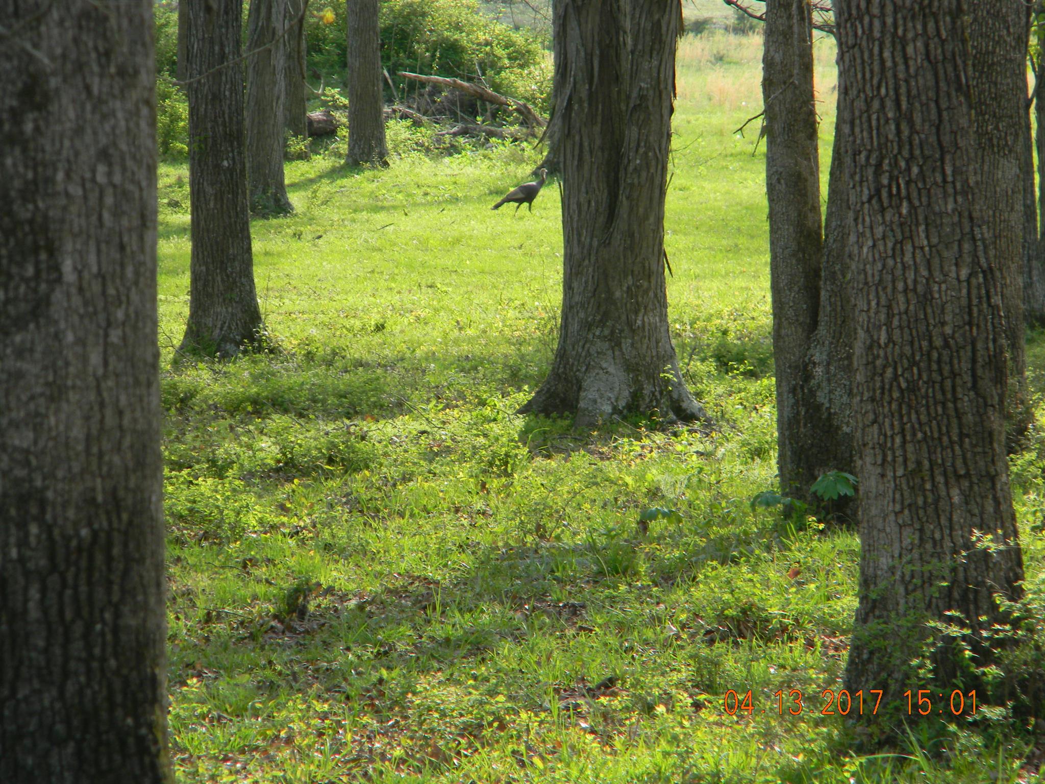 2884 Sims Road Shelbyville, TN 37160 - Photo 3 of 14 Gallery Image 3