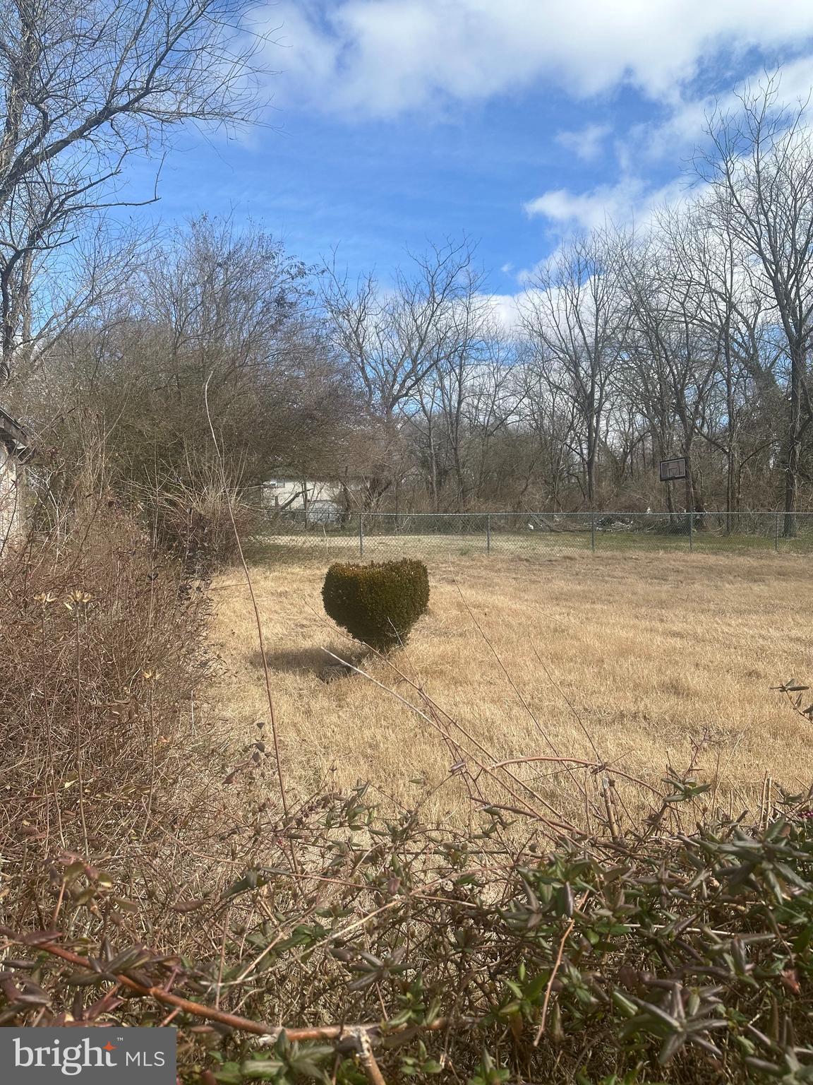 2 Gum Street Bridgeville, DE 19933 - Photo 1 of 1