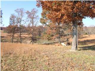 7105 B Ranch Road Georgetown, TN 37336 - Photo 1 of 5 Primary Photo