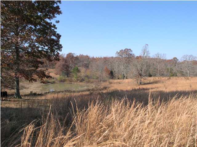 7105 B Ranch Road Georgetown, TN 37336 - Photo 3 of 5 Additional Photo