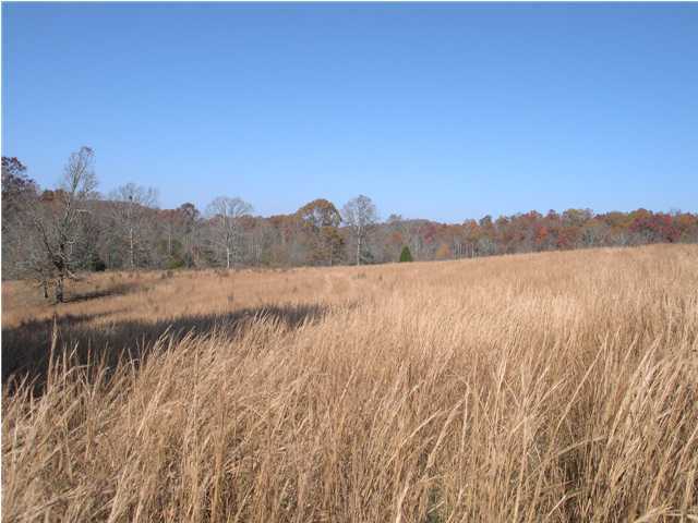 7105 B Ranch Road Georgetown, TN 37336 - Photo 4 of 5 Additional Photo