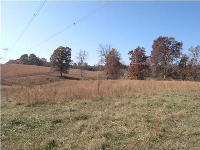 7105 B Ranch Road Georgetown, TN 37336 - Photo 5 of 5 Additional Photo