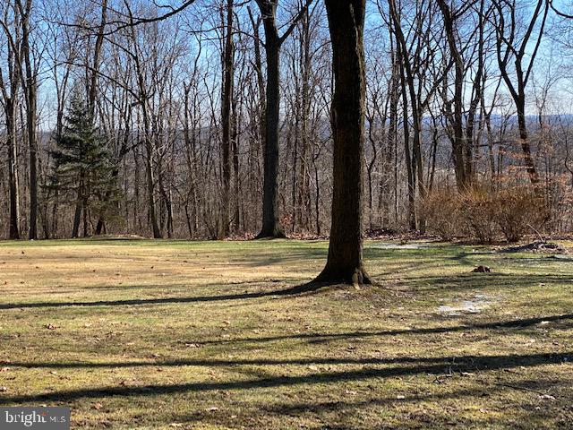 32 Lamms Mill Road Wernersville, PA 19565 - Photo 3 of 23 Gallery Image 3