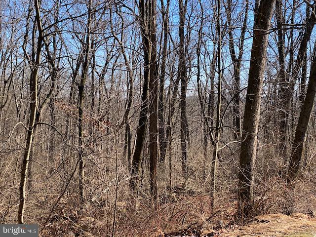 32 Lamms Mill Road Wernersville, PA 19565 - Photo 7 of 23 Gallery Image 7