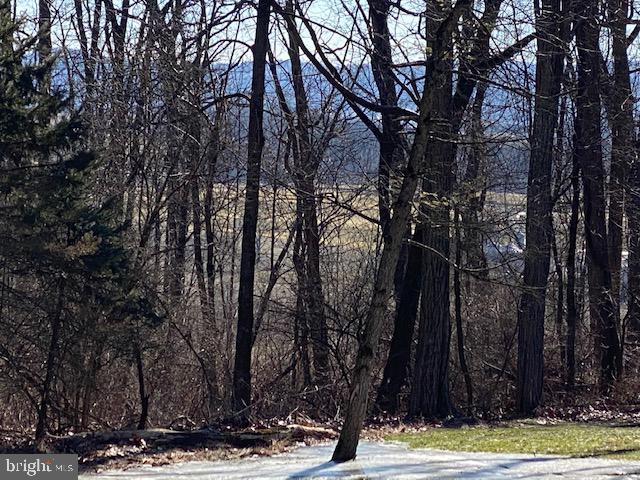 32 Lamms Mill Road Wernersville, PA 19565 - Photo 8 of 23 Gallery Image 8