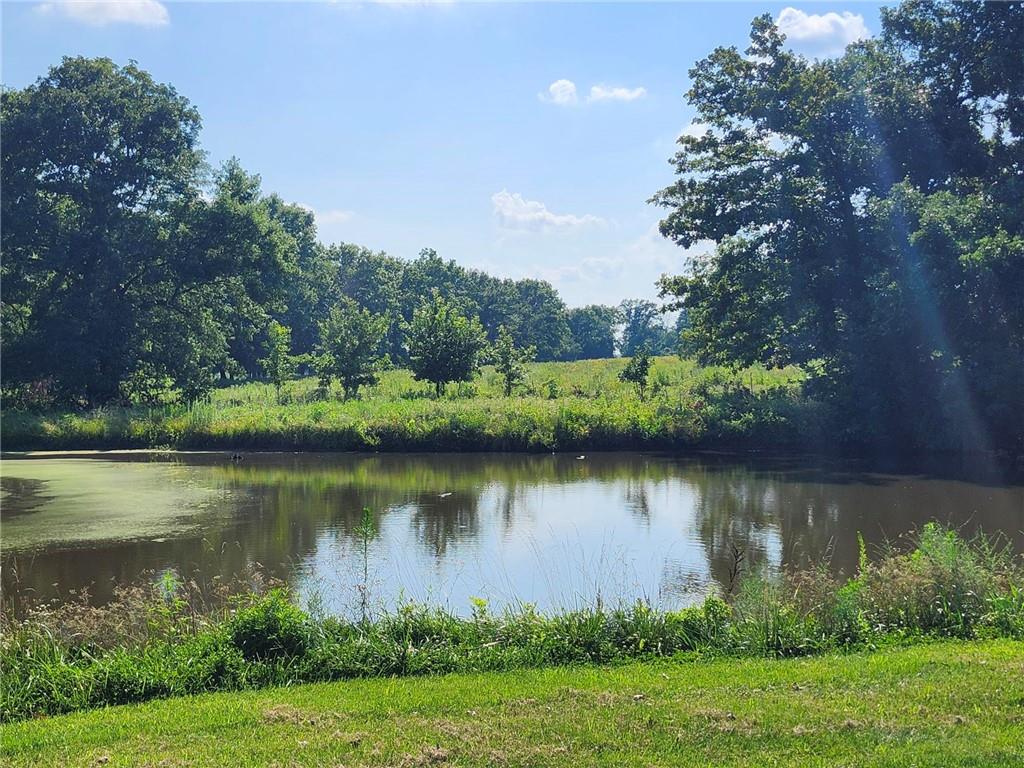 28200 South Grand River Road Freeman, MO 64746 - Photo 33 of 44